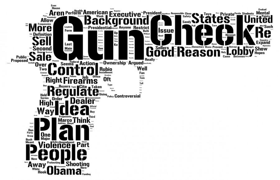 The+State+of+Gun+Control+in+the+US