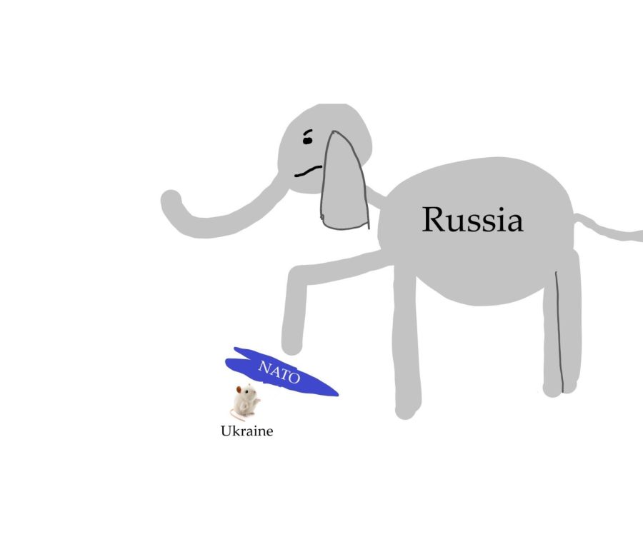 This cartoon depicts Russia as a large, imposing elephant about to step on a small mouse, representing Ukraine. This reflects how Russia is currently massing troops on Ukraines border. However, at the time this issue was sent to the printer, they have not yet invaded due to NATOs forewarning, represented by a shield in the cartoon. But the sheild is very small and the elephant is very big. Things do look ominous for the Ukraine.