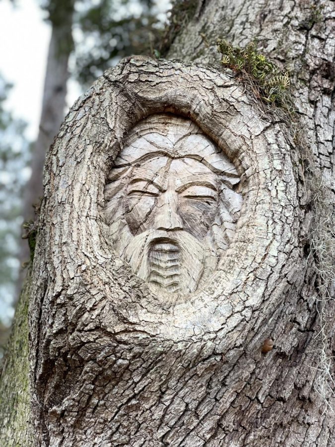 St. Simons Island is home to over forty tree spirits, twelve of which are located on public property. The faces, carved by Keith and Devon Jennings, reflect a diverse range 
of cultures. 